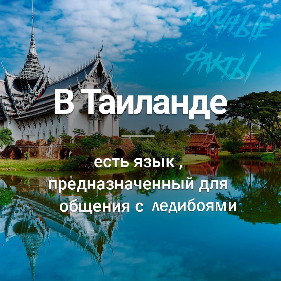 ВТаиланде есть язык, предназначенный для общения с ледибоями