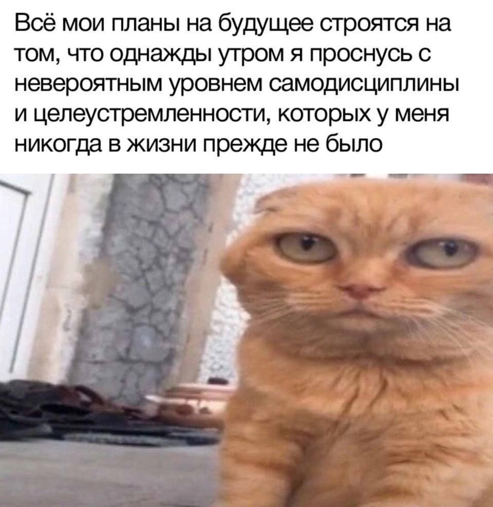 Всё мои планы на будущее строятся на том, что однажды утром я проснусь с невероятным уровнем самодисциплины и целеустремленности, которых у меня никогда в жизни прежде не было