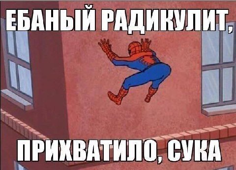 ЕБАНЫЙ РАДИКУЛИТ, ПРИХВАТИЛО, СУКА