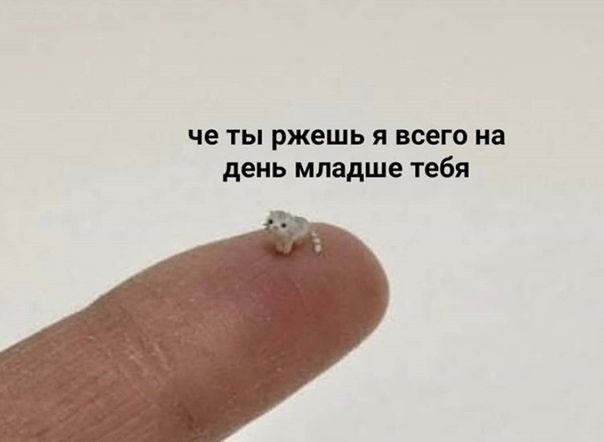 че ты ржешь я всего на день младше тебя