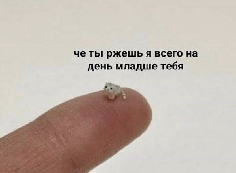 че ты ржешь я всего на день младше тебя
