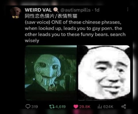 WEIRD VAL autismpills (saw voice) ONE of these chinese phrases, when looked up, leads you to gay porn. the other leads you to these funny bears. search wisely 31 134,619 Ни
