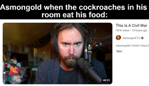 Asmongold when the cockroaches his room eat his food: This Is A Civil War о Asmongold Asmongold's Twitch: https:/ New 48:23
