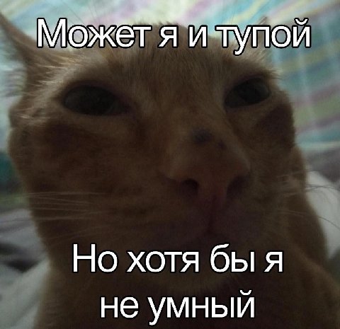 Может я Но хотя бы я не умный