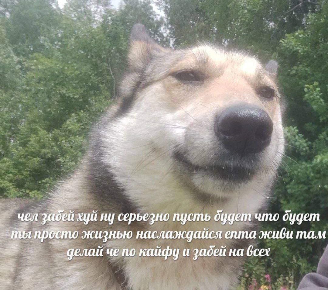 a ‚чел забей хуй серьезно пусть будет что будет ты жизнью наслаждайся епта живи там че по кайфу и забей на
