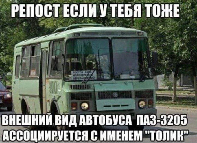 РЕПОСТ ЕСЛИ УТЕБЯ ТОЖЕ ВНЕШНИЙ ВИД АВТОБУСА ПАЗ-3205 АССОЦИИРУЕТСЯ С ИМЕНЕМ "ТОЛИК”