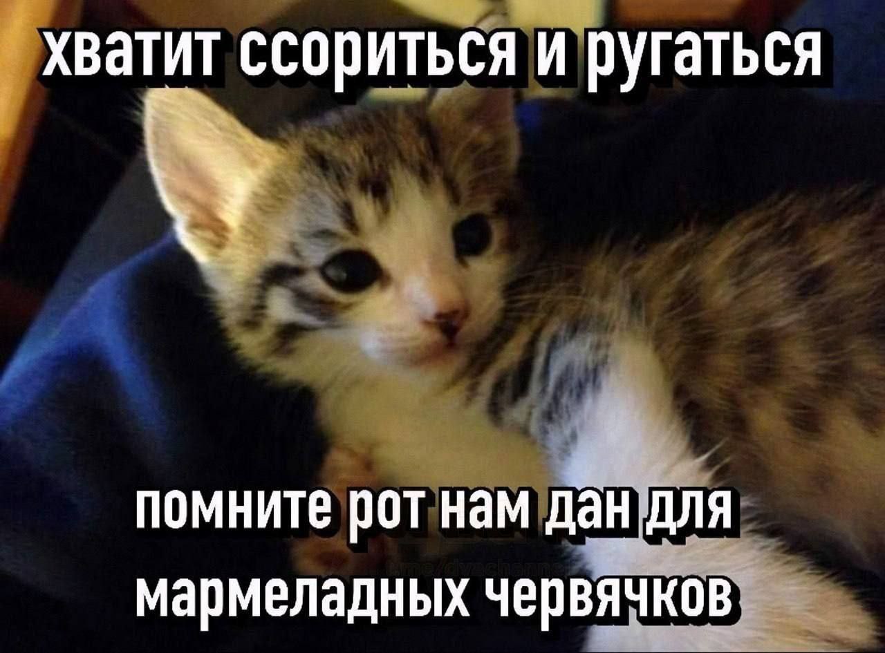 хватит ссориться и ругаться помните рот нам дан ДЛЯ мармеладных червячков
