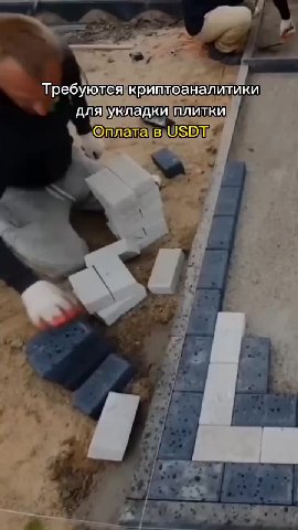 Требуются криптоаналитики дляукладкиплитки! длябукладки“плитки для Унладки плитки, ОЛЛЕШЕ Е WSDiz J \ 'Пляунладкиплитки клад Плитки Требующея дляукладки Оплахазв USDIT
