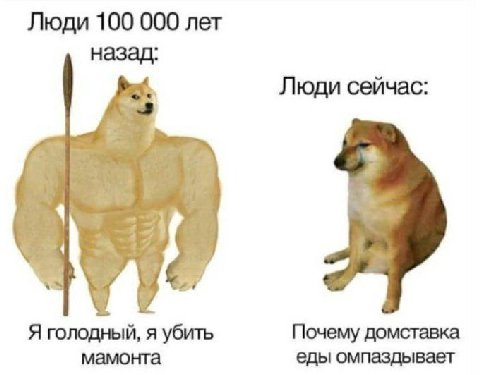 Люди 100 000 лет назад: Люди сейчас: Я голодный, я убить Почему домставка мамонта еды омпаздывает