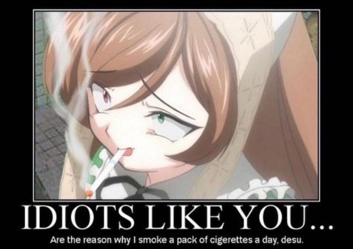 IDIOTS LIKE YOU... Are the reason why smoke a pack of cigerettes a day, desu.