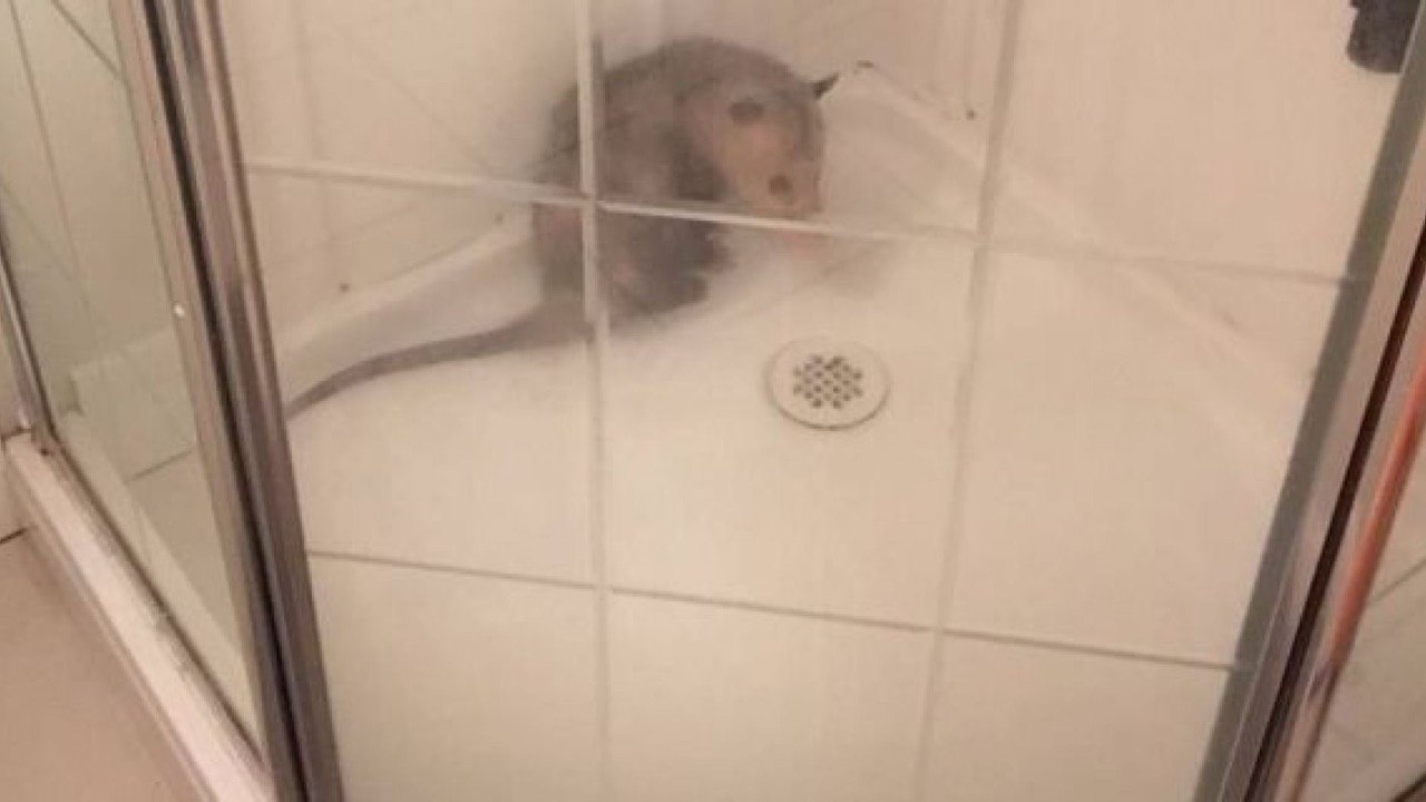 1 9 7