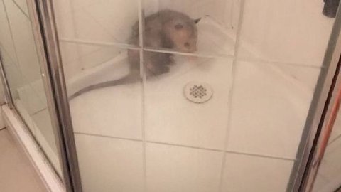 1 9 7