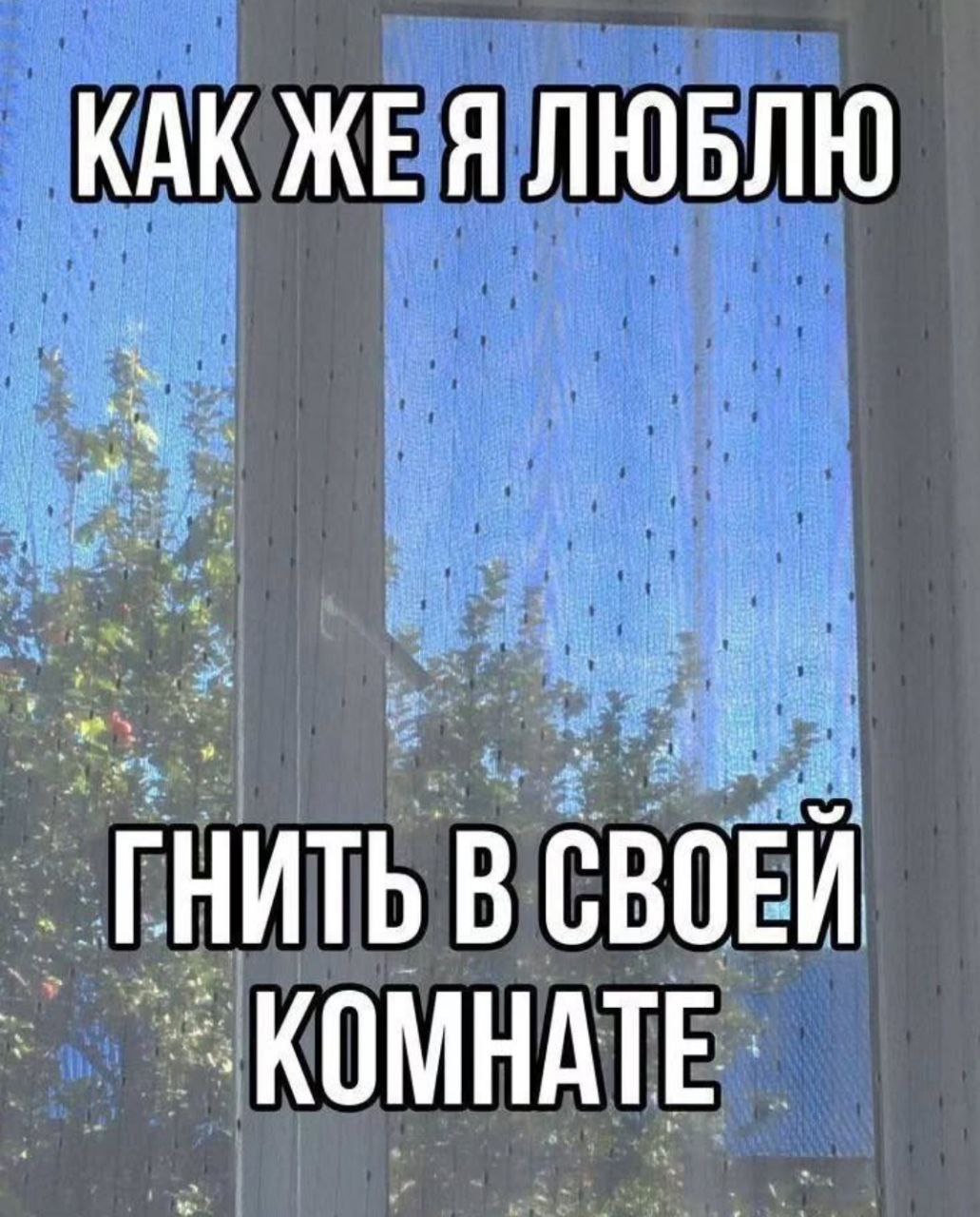 КАК ЖЕЯЛЮБЛЮ ГНИТЬ В СВОЕЙ