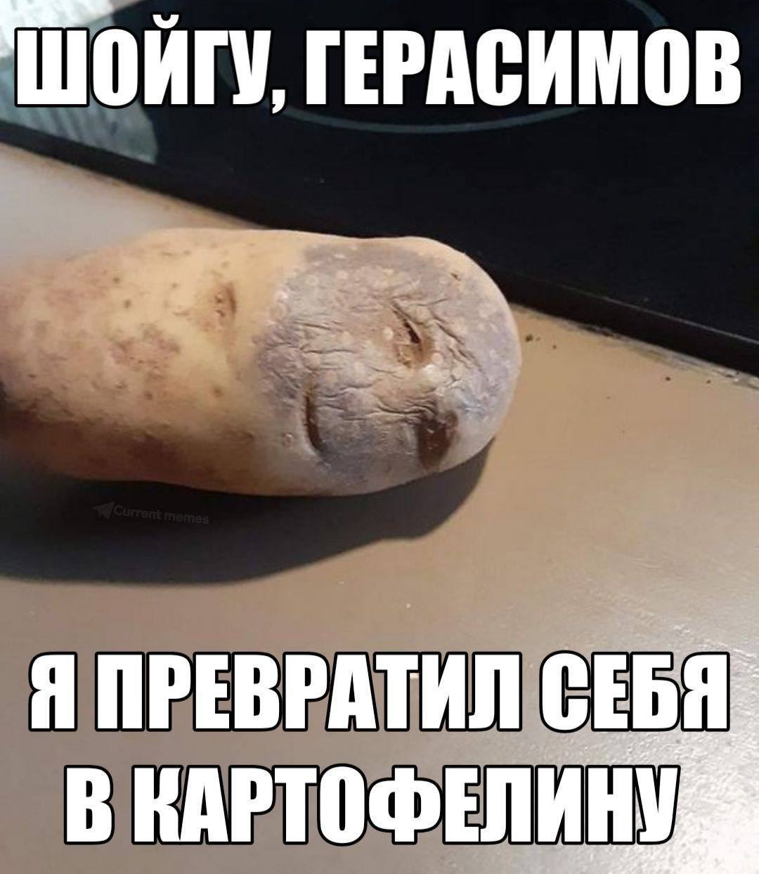 ГЕРАСИМОВ Я ПРЕВРАТИЛ В КАРТОФЕЛИ 2%