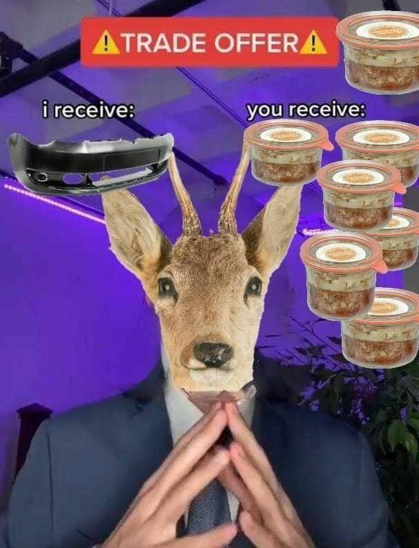 АТВАБЕ i receive: you receive: