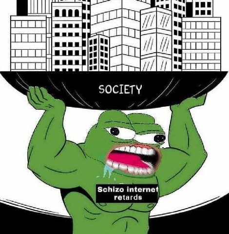 Schizo internet