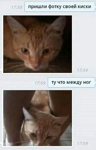 пришли фотку своей киски что между ног
