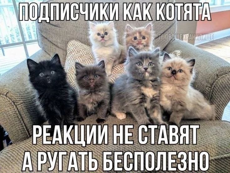 КАК 4 РЕАКЦИИ НЕ СТАВЯТ АРУГАТЬ БЕСПОЛЕЗНО: