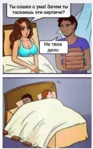 Ты сошел с ума! Зачем ты таскаешь эти кирпичи?