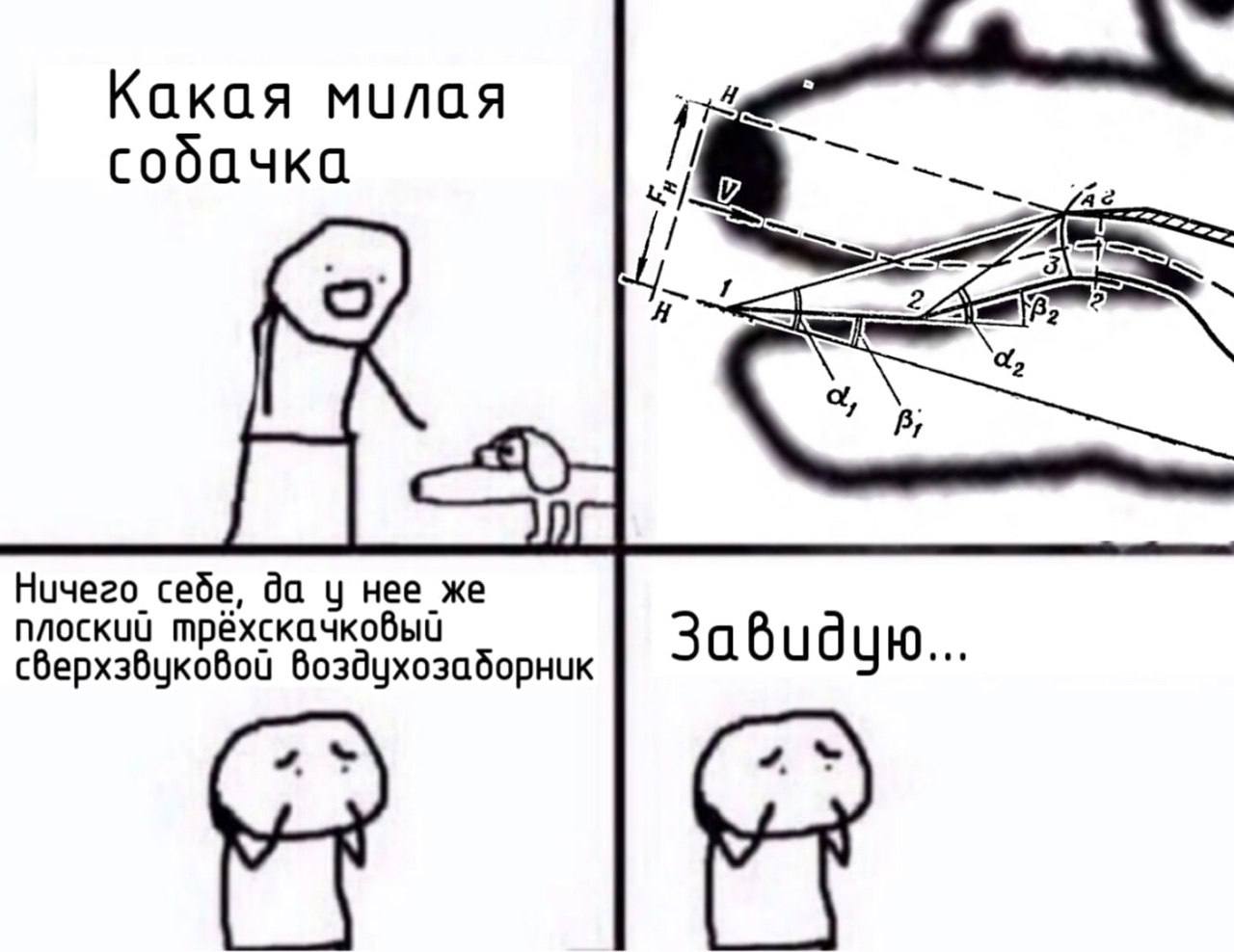 Какая милая собачка 22 a, *3 В, Нучего себе, да нее же плоский трёхскачковый сверхзвуковой воздухозаборник