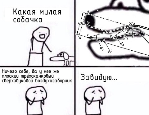Какая милая собачка 22 a, *3 В, Нучего себе, да нее же плоский трёхскачковый сверхзвуковой воздухозаборник