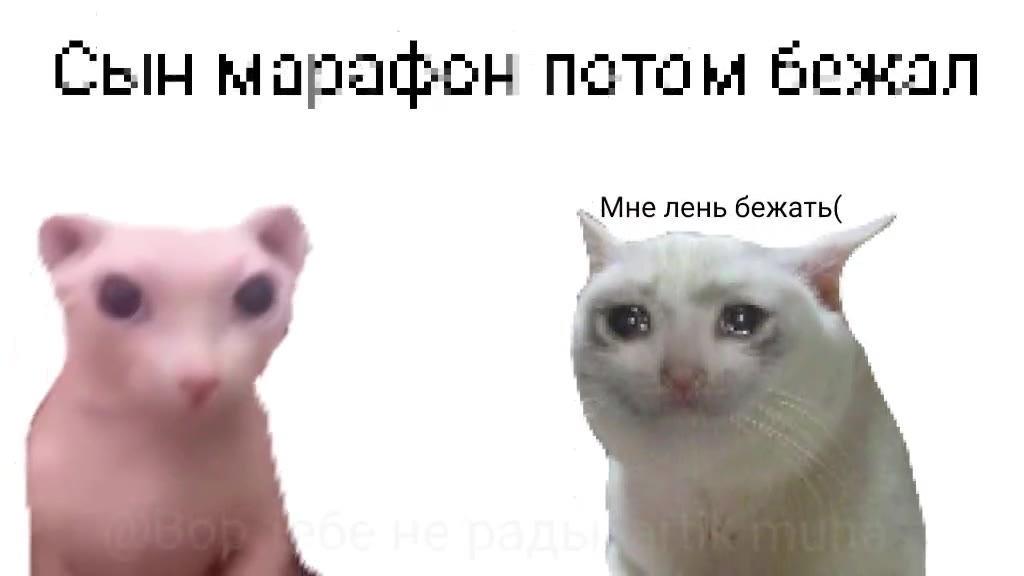 Вот послушай Сын марафон патом бежал - Мне лень бежать( „ Невероятно хорошо