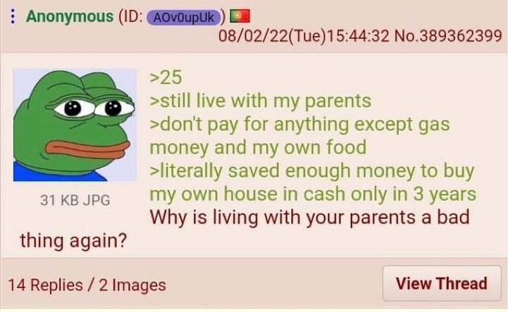Anonymous 08/02/22(Tue)15:44:32 No.389362399 >25 >still live with my parents >dont pay for anything except gas money and my own food >literally saved enough money to buy 31 JPG my own house in cash on