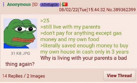 Anonymous 08/02/22(Tue)15:44:32 No.389362399 >25 >still live with my parents >dont pay for anything except gas money and my own food >literally saved enough money to buy 31 JPG my own house in cash on