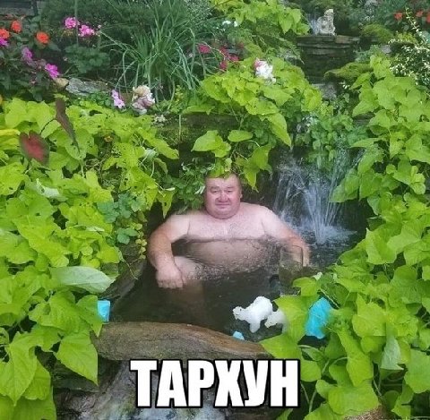 ТАРКУН