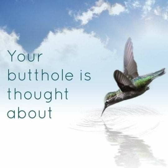 Your butthole is thought about