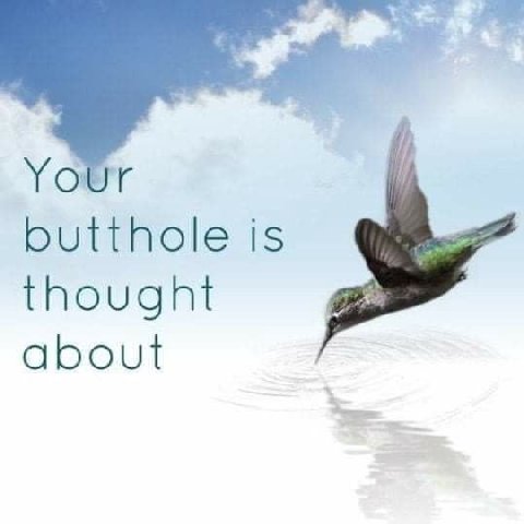 Your butthole is thought about