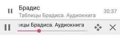 Брадис 30:37 Таблицы Брадиса. Брадиса. Аудиокнига И