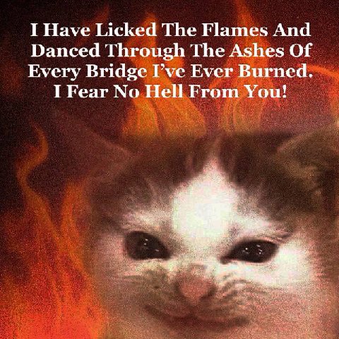 I Have Licked The Flames And Danced Through The Ashes Of Every Bridge Гуе Ever Burned, I Fear No Hell From You!