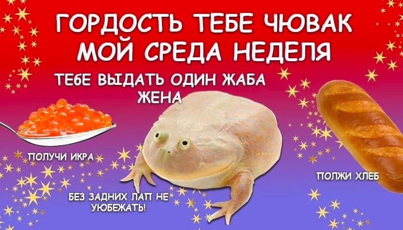 Товарищ я простой россия город страна Липецк рабочий выделяй 25 социальное кредит день лягушка