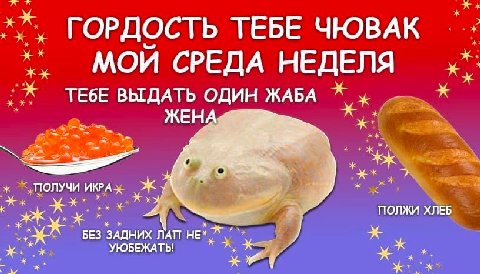 Товарищ я простой россия город страна Липецк рабочий выделяй 25 социальное кредит день лягушка