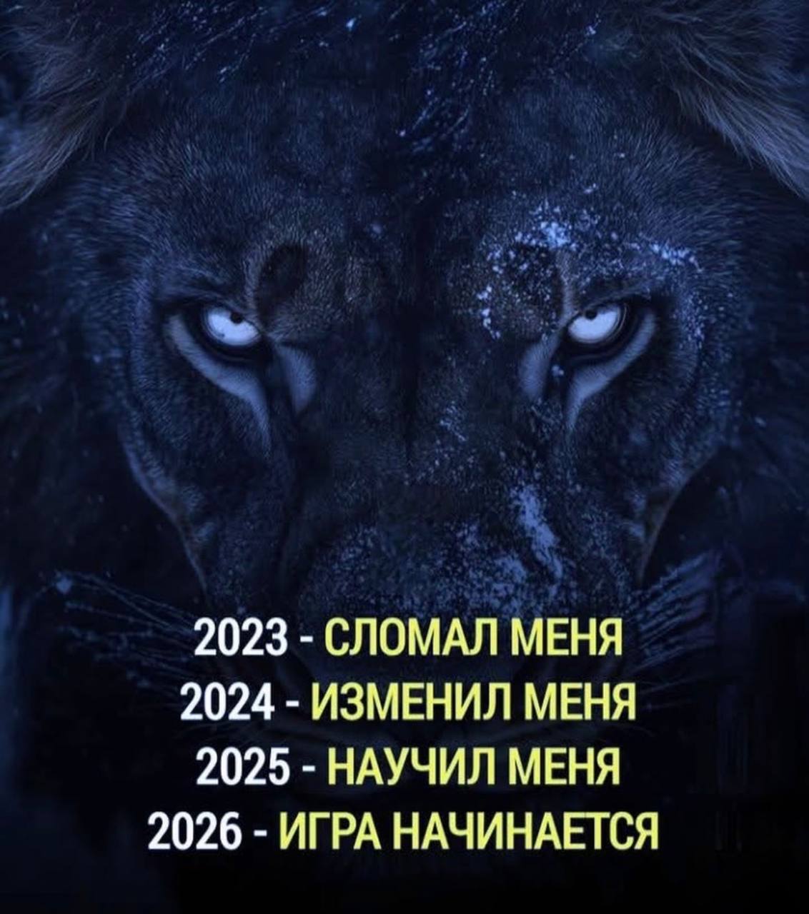 2023 СЛОМАЛ МЕНЯ 2024 ИЗМЕНИЛ МЕНЯ 2025 НАУЧИЛ МЕНЯ 2026 ИГРА НАЧИНАЕТСЯ