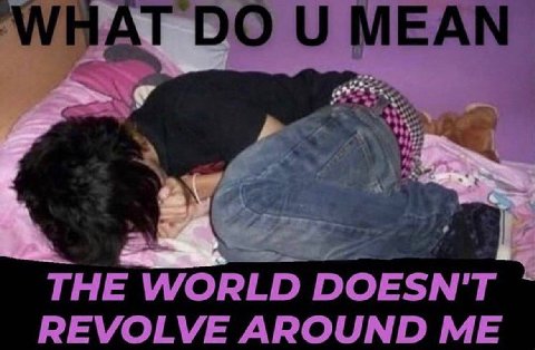 MEAN THE WORLD DOESN'T REVOLVE AROUND ME