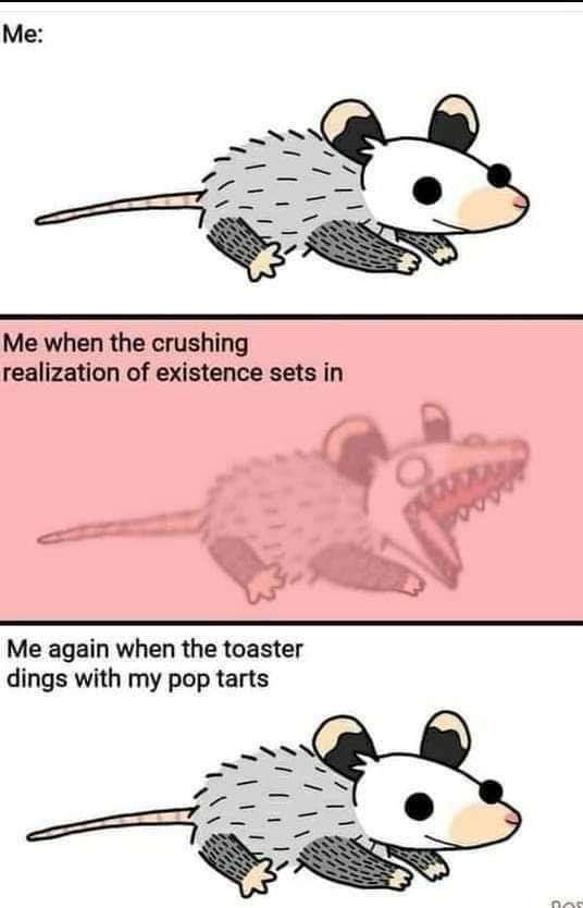 Me when the crushing realization of existence sets in A Me again when the toaster dings with my pop tarts