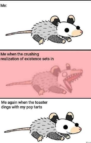 Me when the crushing realization of existence sets in A Me again when the toaster dings with my pop tarts