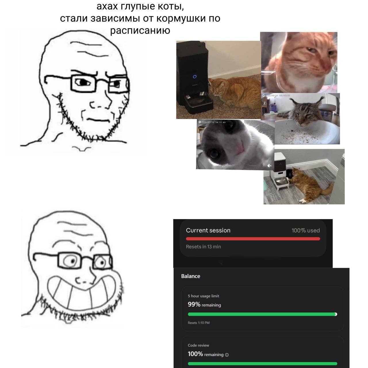 ахах глупые коты, стали зависимы от кормушки по асписанию 7 Current session 10! jsed Ва!апсе 99% remaining 100% remaining