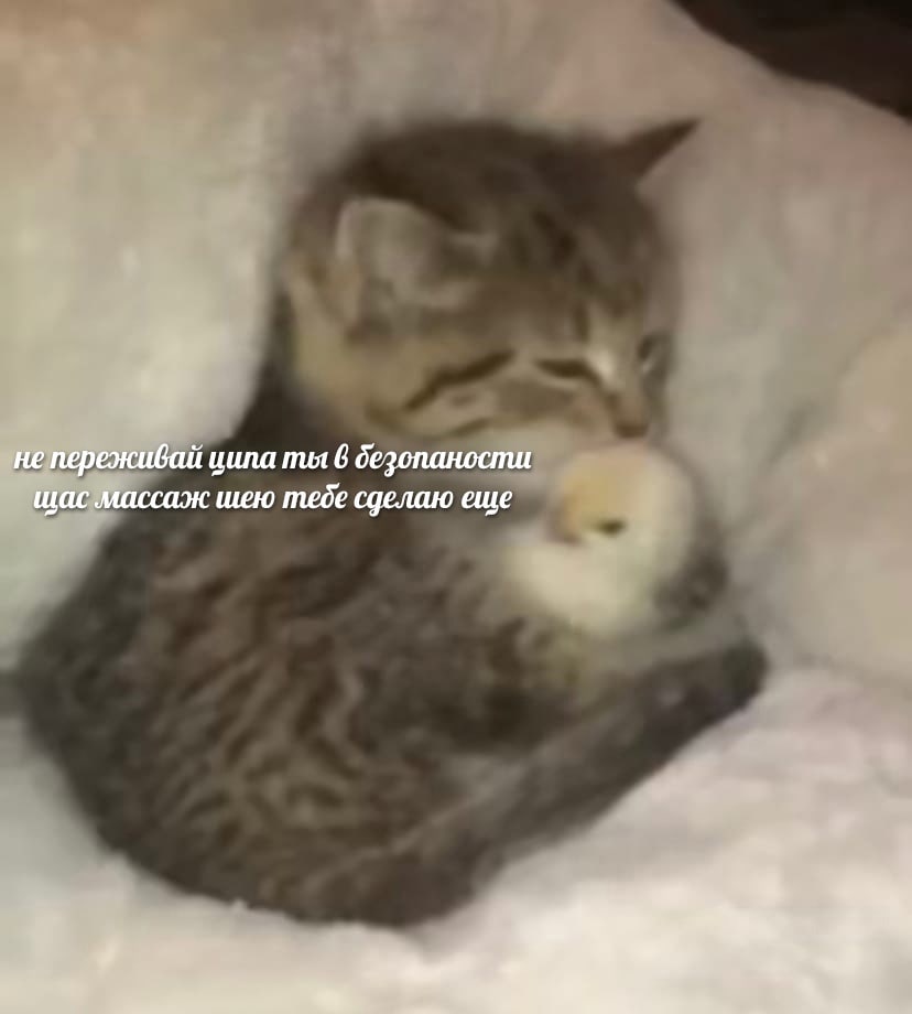 не переживай ципа ты 6 дезопаности щас массаж шею тебе сделаю еше