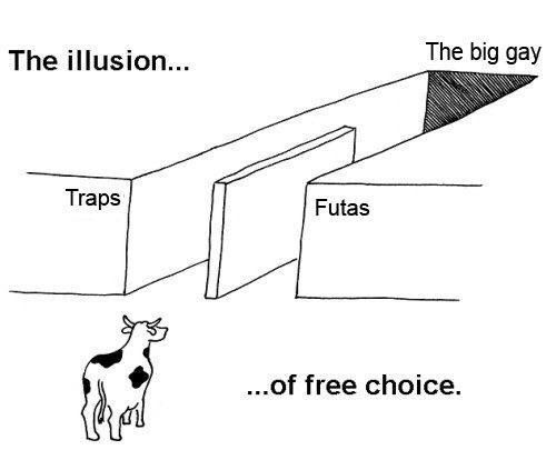 The illusion The big gay Traps Futas of free choice