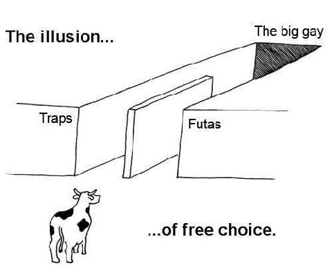 The illusion The big gay Traps Futas of free choice