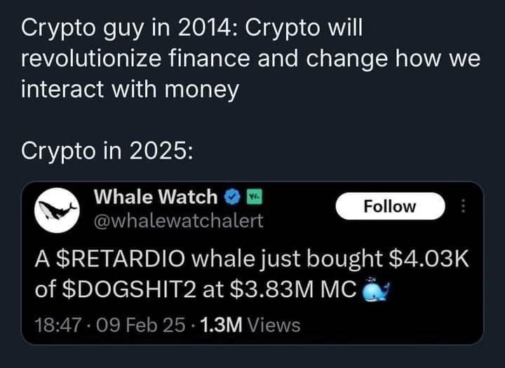 Crypto guy 2014: Crypto will revolutionize finance and change how we interact with money Crypto in 2025: Whale Watch @whalewatchalert A $RETARDIO whale just bought of $DOGSHIT2 at 18:47 -09 Feb Views