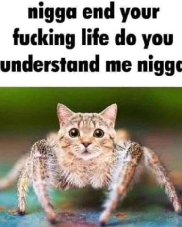 nigga end your fucking life you understand me nigg