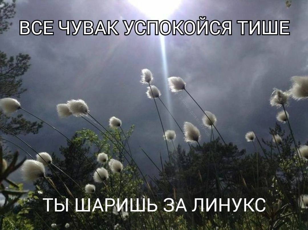 ВСЕ ЧУВА ЙСЯ ТИШЕ `ТЫ ШАРИШЬ ЗА ЛИНУКС