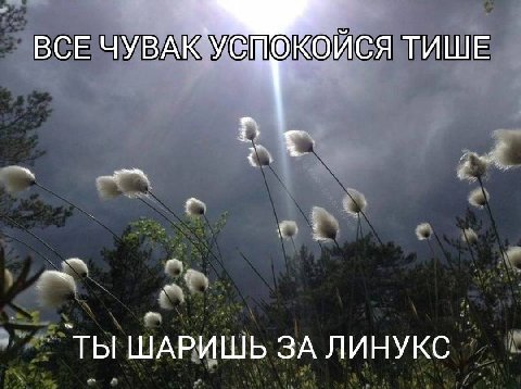 ВСЕ ЧУВА ЙСЯ ТИШЕ `ТЫ ШАРИШЬ ЗА ЛИНУКС