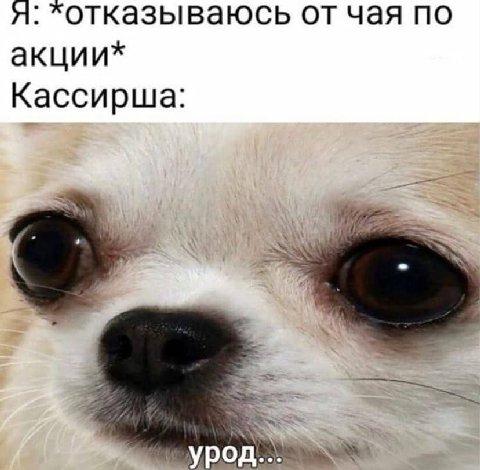 я: хотказываюсь от чая по акции* Кассирша: урод...