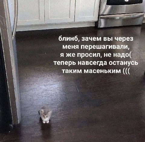 блинб, зачем вы через меня перешагивали, я же просил, не надо( теперь навсегда останусь таким масеньким