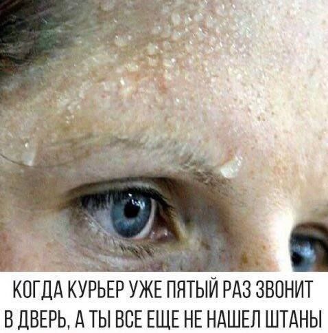 КОГДА КУРЬЕР УЖЕ ПЯТЫЙ РАЗ ЗВОНИТ В ДВЕРЬ, А ТЫ ВСЕЕЩЕНЕ НАШЕЛ ШТАНЫ